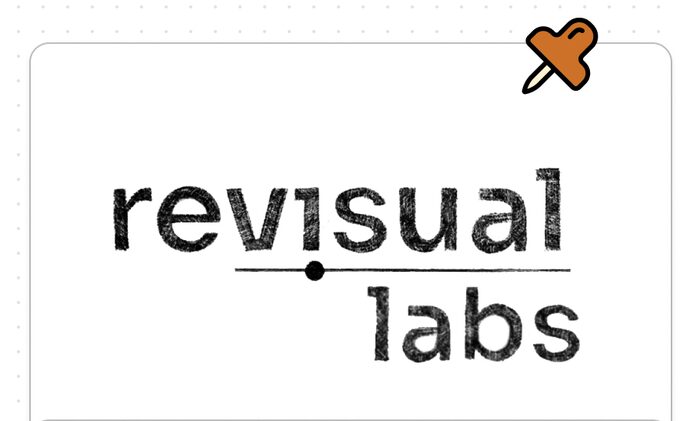 The final Revisual Labs logo — a dot plotted on a line