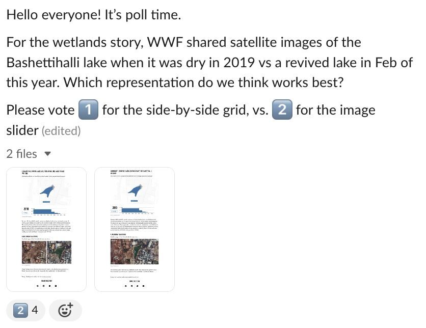 Slack poll for a WWF wetlands story — side-by-side grid vs. image slider for satellite imagery